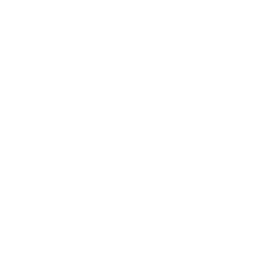 house icon